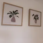 Jedid Kings Heath Apartment