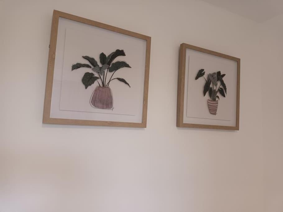 Apartment Jedid Kings Heath *